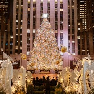 Meet your Posher, Rain!